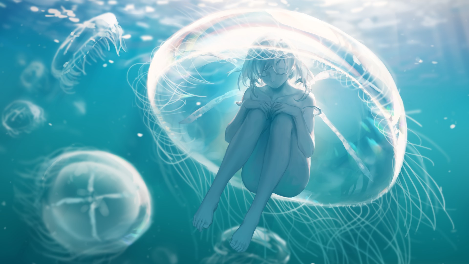 boxmoe_header_banner_img